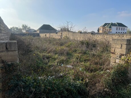 Elan №5689040 - Bakı, Saray q., 6 sot