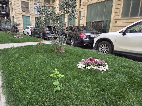 4 otaqlı yeni tikili - Səbail r. - 210 m²