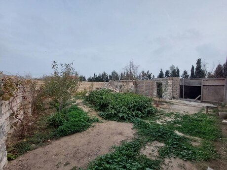 2 otaqlı həyət evi/bağ evi - Bilgəh q. - 45 m²