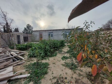 2 otaqlı həyət evi/bağ evi - Bilgəh q. - 45 m²