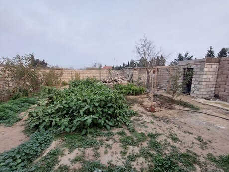 2 otaqlı həyət evi/bağ evi - Bilgəh q. - 45 m²