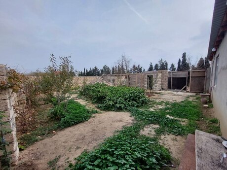 2 otaqlı həyət evi/bağ evi - Bilgəh q. - 45 m²