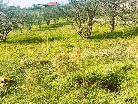 Torpaq - Masazır q. - 23 sot