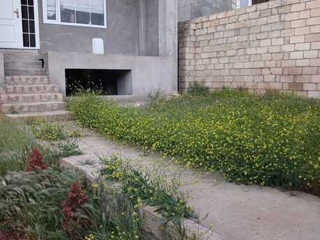 Badamdarda 6 otaqlı həyət evi satılır, 350 m², 350 000 AZN, şəkil 3 / 12