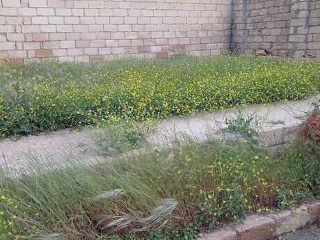 Badamdarda 6 otaqlı həyət evi satılır, 350 m², 350 000 AZN, şəkil 5 / 12
