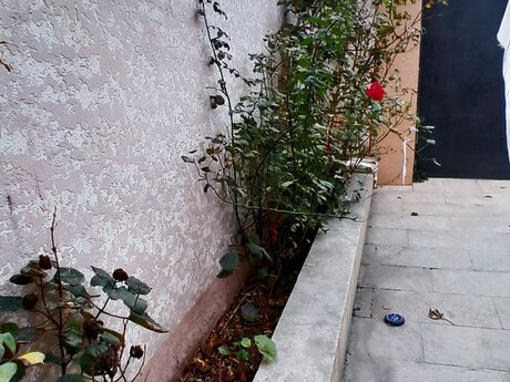 7-room house for sale in Biləcəri, 240 m², 179 000 AZN, photo 5 / 12