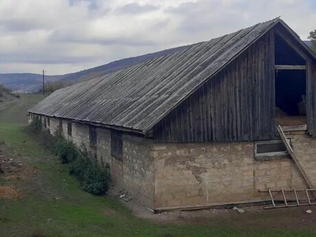 Torpaq - Şamaxı - 3000 sot