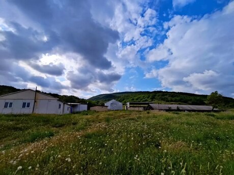 Torpaq - Şamaxı - 3000 sot