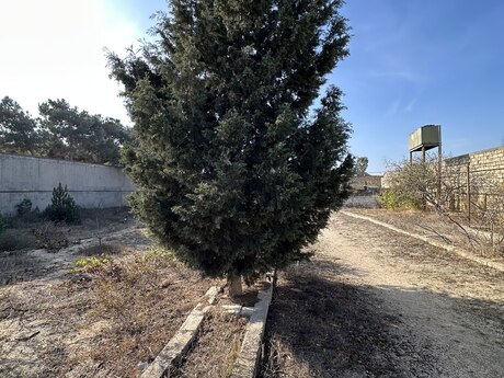 Elan №5699986 - Bakı, Mərdəkan q., 12 sot