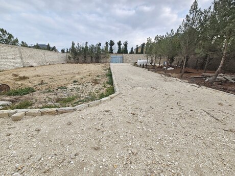 Объявление №5705552 - Баку, пос. Шувеляны, 13 сот