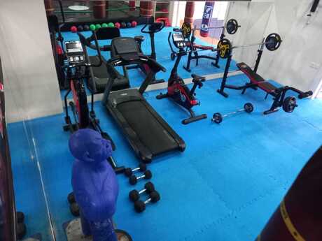 Объявление №5710777 - Баку, м. Иншаатчылар, 200 м²