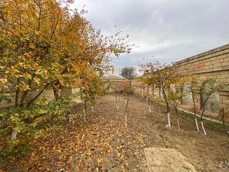9 otaqlı həyət evi/bağ evi - Badamdar q. - 470 m²