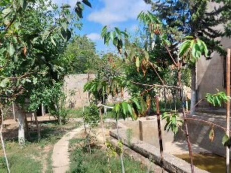 8 otaqlı həyət evi/bağ evi - Qara Qarayev m. - 350 m²