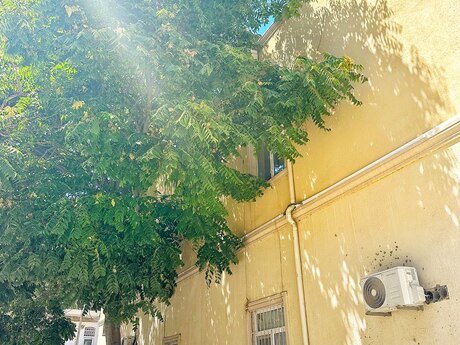 1 otaqlı köhnə tikili - Nizami m. - 25 m²