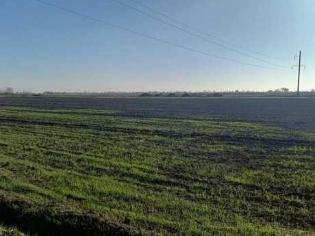 Elan №5718466 - Xaçmaz, Xaçmaz, 900 sot