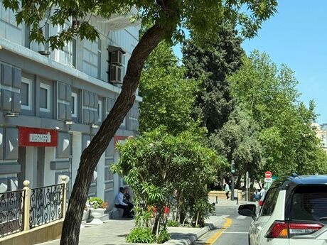 Объявление №5722511 - Баку, м. Ичеришехер, 135 м²