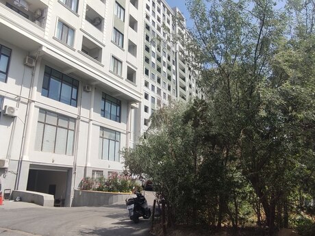 Объявление №5724103 - Баку, пос. Ахмедлы, 1-комн., 55 м², 7/16 этаж