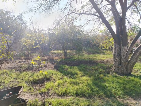 Elan №5498764 - Bakı, Fatmayı q., 5 sot