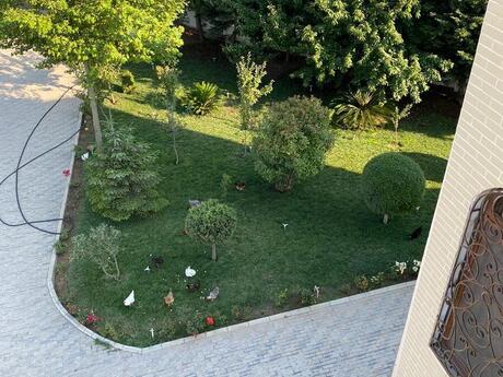 10 otaqlı həyət evi/bağ evi - Sumqayıt - 400 m²