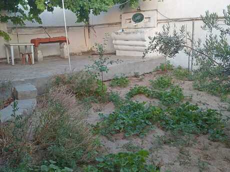 3 otaqlı həyət evi/bağ evi - Pirşağı q. - 65 m²