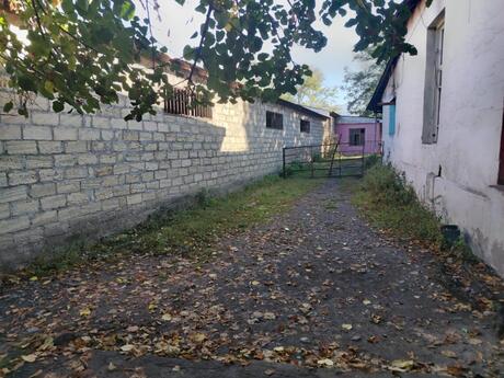 Obyekt - Şəki - 200 m²