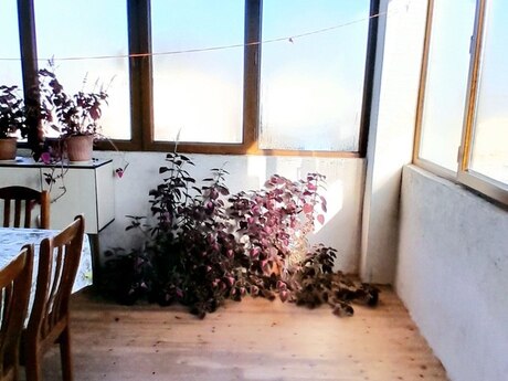 5 otaqlı həyət evi/bağ evi - Biləcəri q. - 180 m²