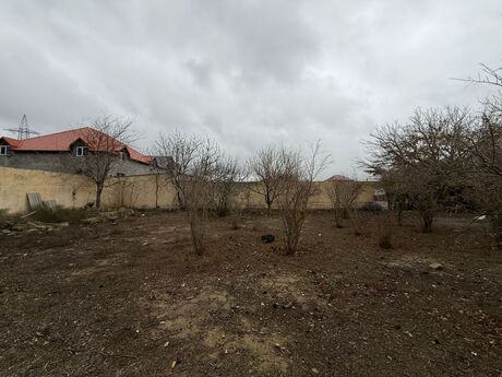 Объявление №5740203 - Баку, пос. Мардакан, 10 сот