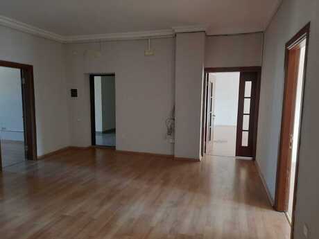 5-комн. офис - м. Низами - 250 м²