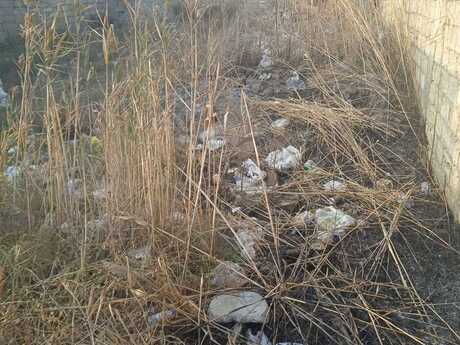 Torpaq - Badamdar q. - 3 sot