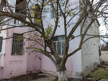 5 otaqlı həyət evi, 190 m², Zirə: 109 000 ₼ 3