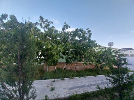 Mərdəkanda 4 otaqlı həyət evi kirayə verilir, 120 m², 800 AZN/ay, şəkil 4 / 12