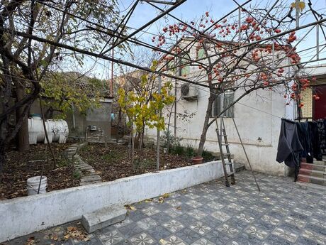 4 otaqlı həyət evi/bağ evi - Nəsimi m. - 150 m²