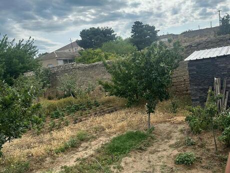 Объявление №5759627 - Баку, пос. Бильгях, 39 сот