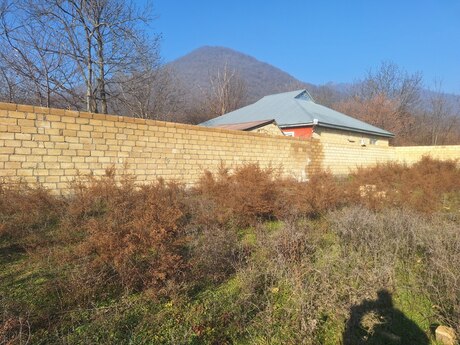 Объявление №5760675 - Габала, Габала, 5 сот