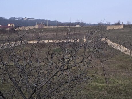 Torpaq - Şamaxı - 12 sot