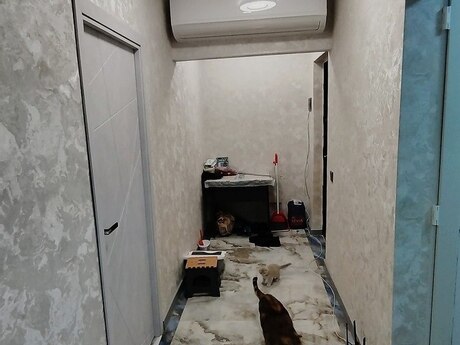 5 otaqlı köhnə tikili - Xırdalan - 130 m²