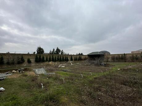 Участок - пос. Новханы - 29 сот