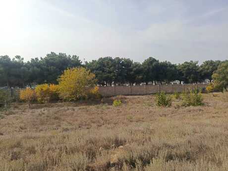 Torpaq - Saray q. - 28 sot