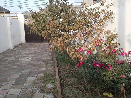 4 otaqlı həyət evi, 180 m², Binəqədi: 245 500 ₼ 4