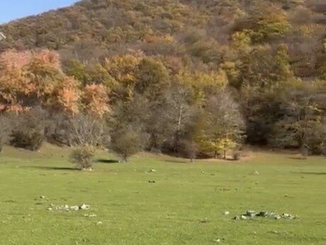 Torpaq - Oğuz - 12 sot