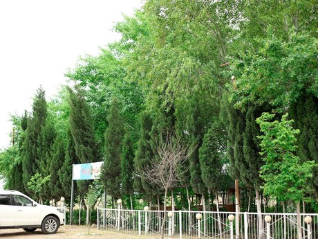 Obyekt - Hacıqabul - 10000 m²