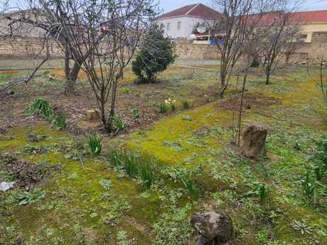 Объявление №5768127 - Баку, пос. Мардакан, 6 сот