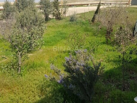 5 otaqlı həyət evi/bağ evi - Binəqədi q. - 200 m²