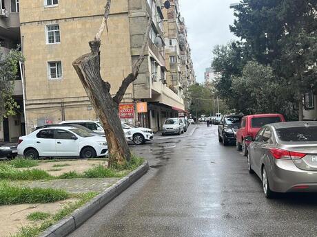 Объявление №5775411 - Баку, м. Гянджлик, 1-комн., 14 м²