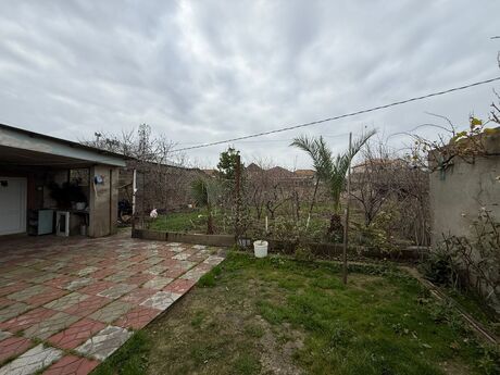 Torpaq - Şağan q. - 7.5 sot