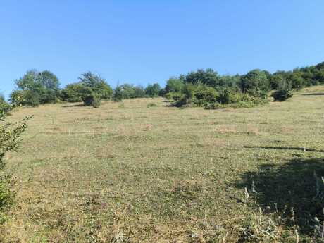 Elan №5777133 - Quba, Quba, 80 sot