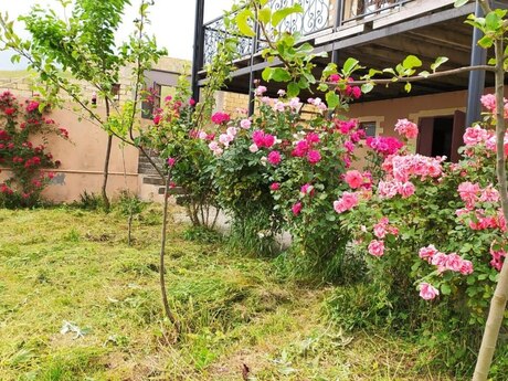 5 otaqlı həyət evi/bağ evi - Şamaxı - 250 m²