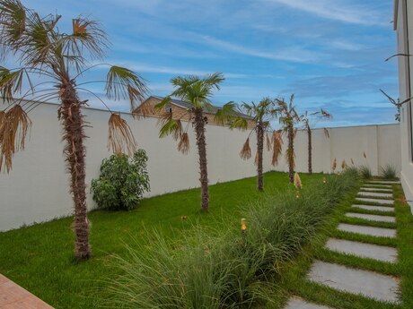 5 otaqlı həyət evi/bağ evi - Albalılıq q. - 330 m²