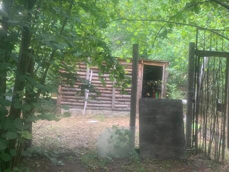 4 otaqlı həyət evi/bağ evi - Qəbələ - 130 m²