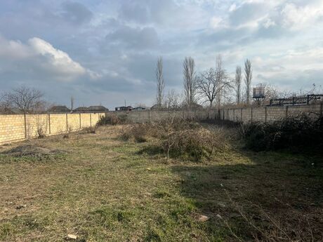 Объявление №5786641 - Хачмаз, Хачмаз, 11.5 сот